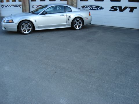 1998 Ford Taurus - Silver 2001 Ford Mustang SVT Cobra in front of a garage with Ford and SVT branding.
