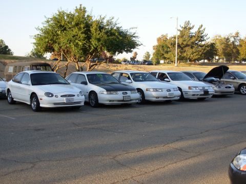 1995 Ford Taurus - A lineup of white Ford Taurus sedans, including a 1995 model, are parked in a lot.