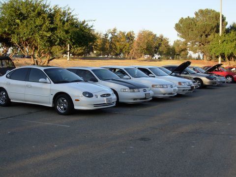 1995 Ford Taurus - A row of white Ford Taurus sedans, including a 1995 model, are parked in a lot.