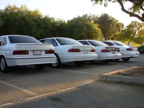 1995 Ford Taurus - Four white Ford Taurus sedans are parked in a row, viewed from the rear.