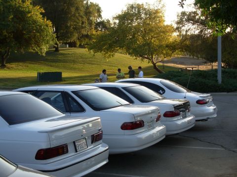 1995 Ford Taurus - Several white sedans are parked in a lot on a sunny day, with trees and a grassy hill in the background.