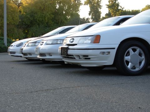 1995 Ford Taurus - Several white Ford Taurus sedans are lined up in a parking lot, with trees in the background.
