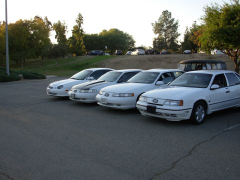 1995 Ford Taurus - Four white Ford Taurus sedans are parked in a lot, with a fifth vehicle partially visible.