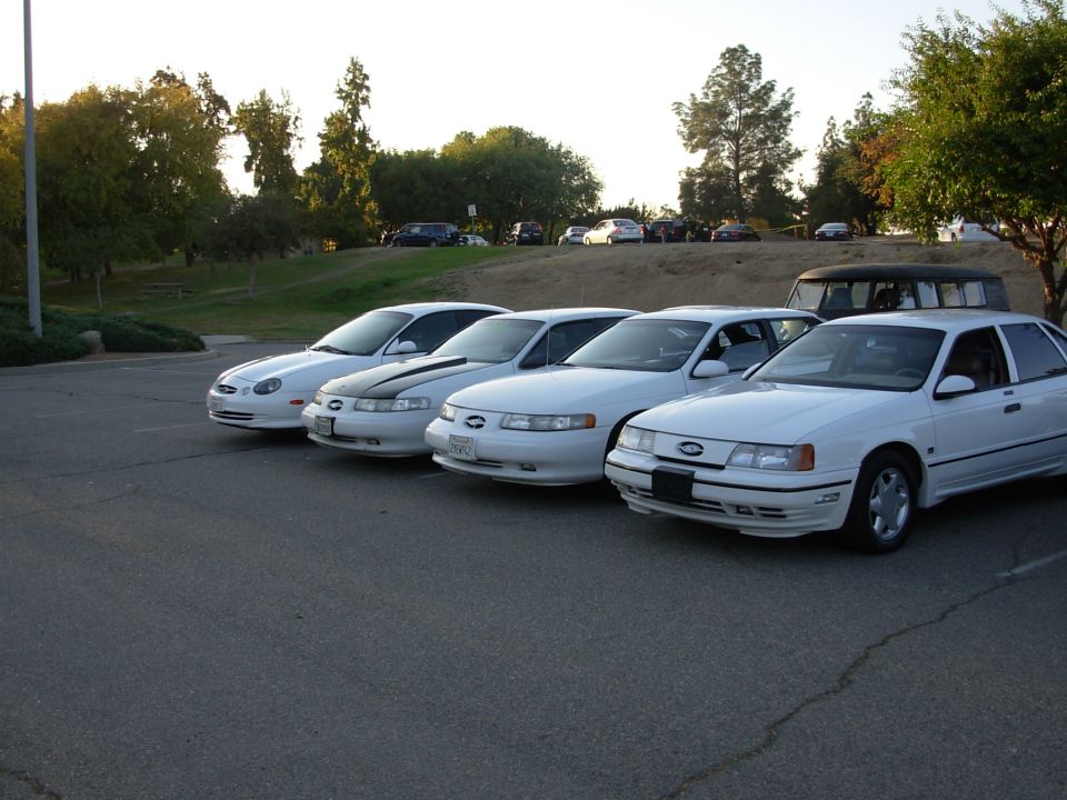 Four white Ford Taurus sedans parked in a lot, one with a black stripe on the hood