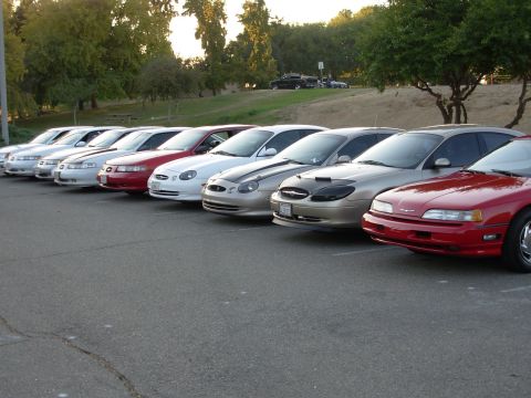 1995 Ford Taurus - Several Ford Taurus sedans are lined up in a parking lot with trees in the background.