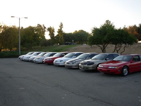 1995 Ford Taurus - A row of Ford Taurus sedans and a red coupe are parked in a lot at sunset.