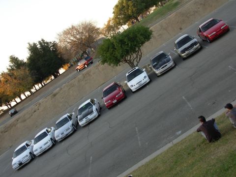 1995 Ford Taurus - A line of Ford Taurus sedans are parked diagonally in a lot, with people watching from the grass.