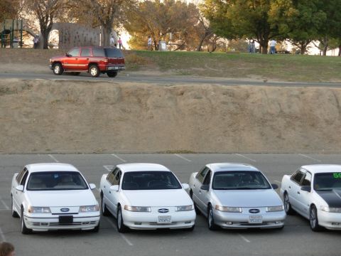 1995 Ford Taurus - Four white 1995 Ford Taurus sedans are parked in a lot, with a red SUV in the background.