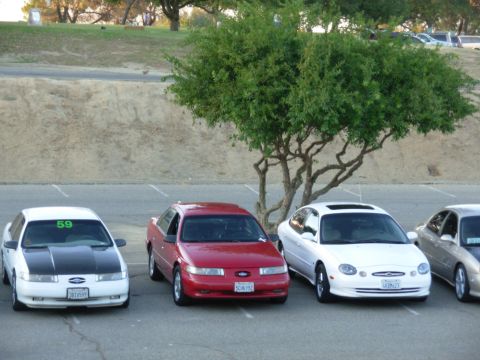 1995 Ford Taurus - Three Ford Taurus sedans are parked in a lot, with a tree providing shade.