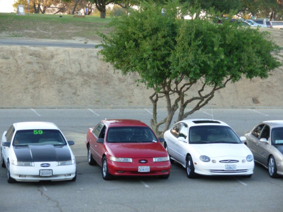 Three Ford Taurus sedans parked in a lot. The white one on the left has a black hood. The red one in the middle and the white one on the right are also visible