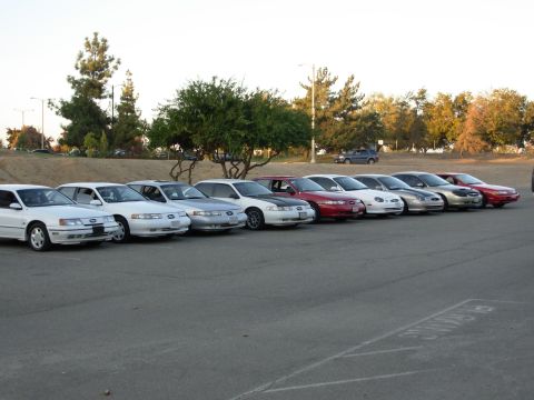 1995 Ford Taurus - Multiple Ford Taurus sedans are lined up in a parking lot, with the front of the vehicles facing towards the viewer.