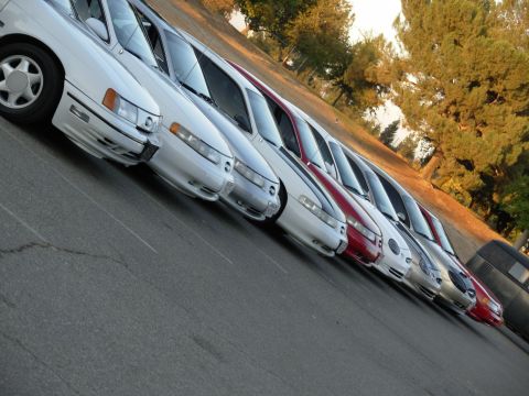1995 Ford Taurus - A row of vehicles are parked along the side of a street with trees in the background.