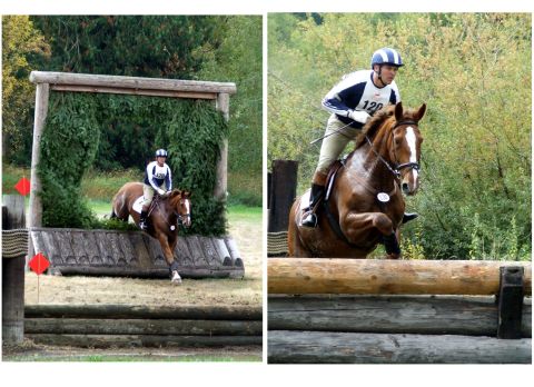 1976 Ford F-150 - A horse and rider navigate a challenging jump during a cross-country equestrian competition.