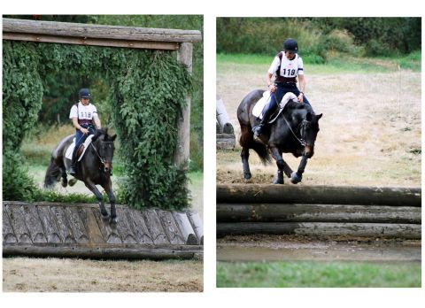 1976 Ford F-150 - A horse and rider compete in an equestrian event, clearing a large wooden jump.