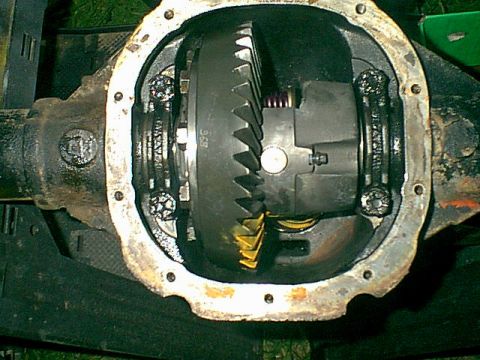 1983 Ford Bronco - One last look at the new diff and gears.