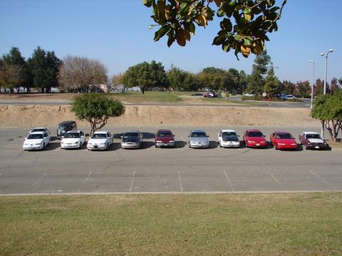 1992 Ford Taurus - A variety of cars are parked in a lot under a clear blue sky.