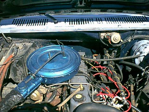 1983 Ford Bronco - This was how she looked when i opened the hood. i had a lifter tick and the PO bought new lifters so i thought i swap them in.