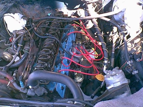 1983 Ford Bronco - another shot of the painted lifter cover. as i was replacing the plugs i found a few bad wires so out the wires come.