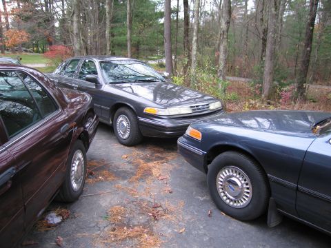 1991 Ford LTD Crown Victoria - Three Ford Crown Victorias are parked closely together on a paved surface surrounded by trees.