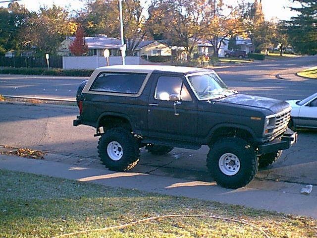 Here she is with all 4 new shoes on.
