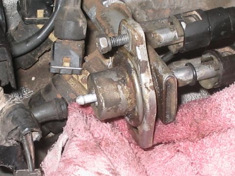 1994 Jeep Cherokee “pig dog”