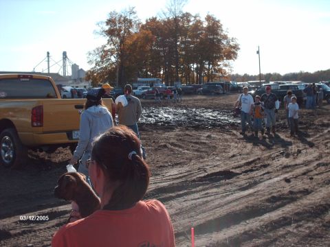 1995 Ford Probe - A muddy field with several vehicles and people gathered on a sunny day.