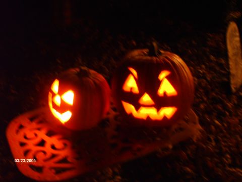 1995 Ford Probe - Two carved pumpkins glow with light on a dark night, casting intricate shadows.