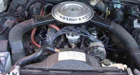 1985 Ford LTD Crown Victoria - The engine bay of a Ford vehicle, a 5.0 Liter EFI V8 engine.