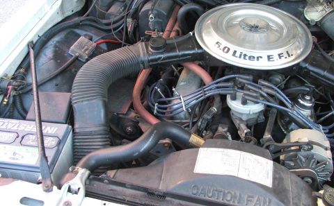 1985 Ford LTD Crown Victoria - The engine bay shows a 5.0 Liter E.F.I. system and other components.