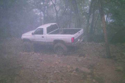 1978 Ford Bronco - White pickup truck navigating a rough, off-road path in a wooded area.