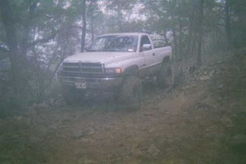 1978 Ford Bronco - A lifted white pickup truck navigates a challenging, muddy path through a dense forest.