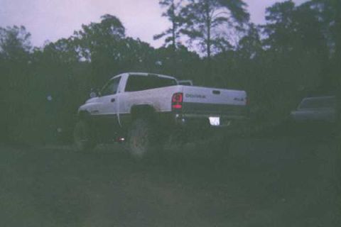 1978 Ford Bronco - A white Dodge pickup truck is parked in a grassy area with trees in the background as daylight fades.