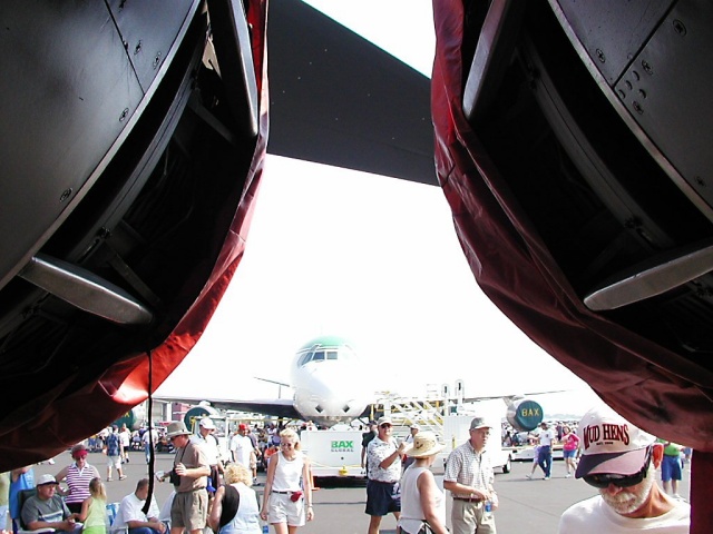 Looking out from between B1-B engines. I just thought this was an odd pic. How many times do you get to stand between that much power?  Stupid plane was leaking a lot of oil under there though.