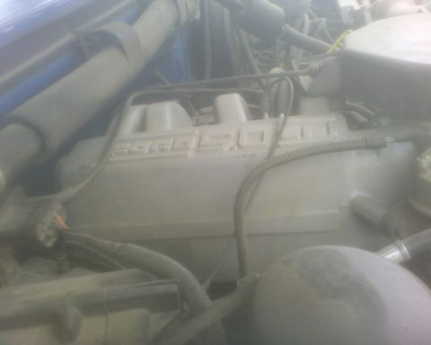 1989 Ford Bronco - Close-up of a Ford 5.0 engine, likely from a truck or SUV.