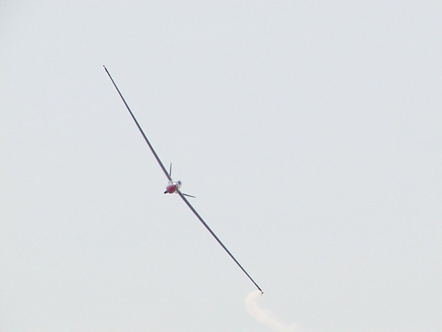 Glider.  Head-on shot.