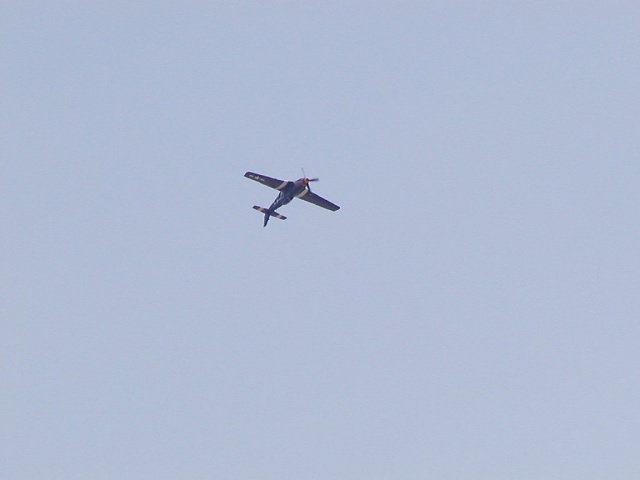 P-51 in roll.