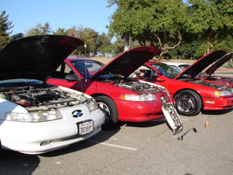 1992 Ford Taurus - Three Ford Tauruses, two red and one white, are parked with their hoods open, revealing their engines.