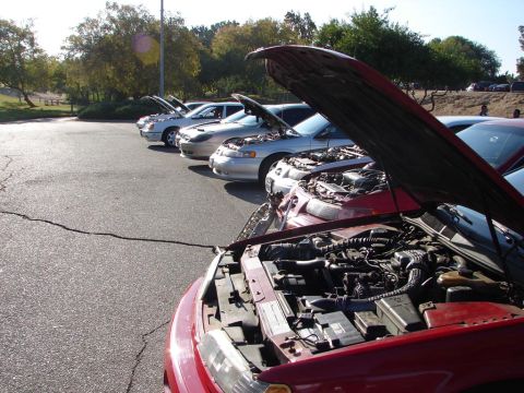 1992 Ford Taurus - Several cars, including a 1992 Ford Taurus, are lined up with their hoods open.