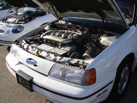 1992 Ford Taurus - Two white Ford Taurus SHO models with hoods open, displaying their engines.