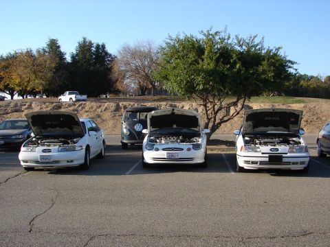 1992 Ford Taurus - Three white 1992 Ford Taurus sedans are lined up with their hoods open, displaying their engines.