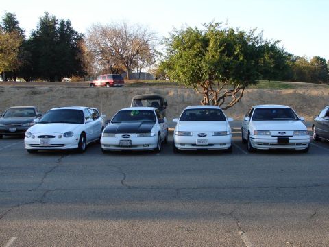 1992 Ford Taurus - Several Ford Taurus models, including a wagon and a sedan with a black hood, are parked together.