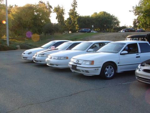1992 Ford Taurus - A line of white Ford Tauruses are parked in a lot during the day.