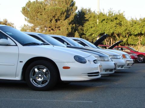 1992 Ford Taurus - A line of white sedans, one with a black stripe on the hood, parked outdoors.