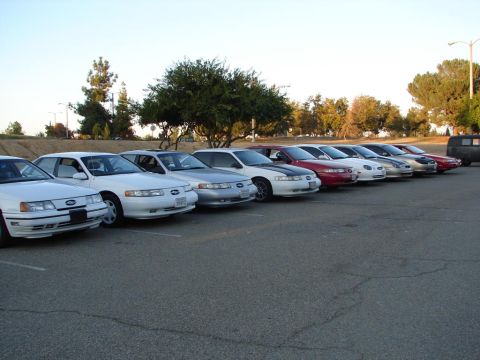 1992 Ford Taurus - A row of 1992 Ford Tauruses are parked in a lot, with one red sedan among them.