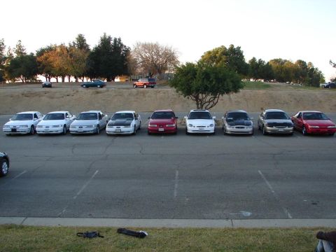 1992 Ford Taurus - A lineup of Ford Taurus sedans are parked in a lot, with trees and a hill in the background.