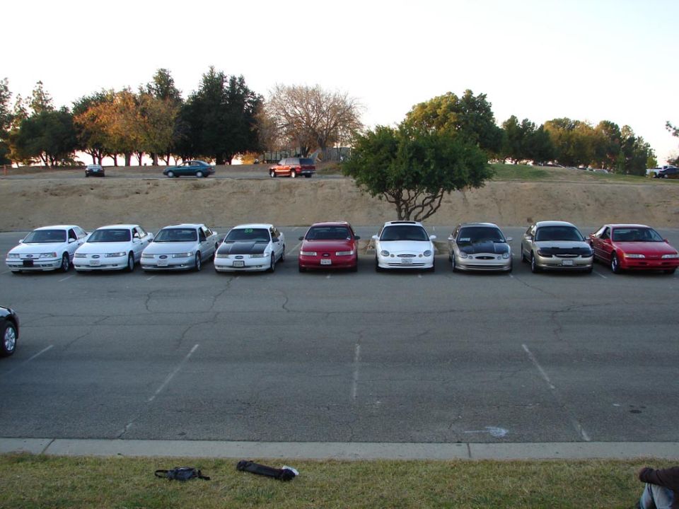 Several Ford Taurus cars parked in a lot. Some have black hoods
