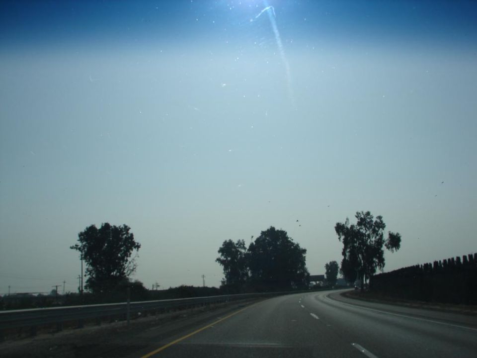 Highway driving scene with trees and a dark fence on the right