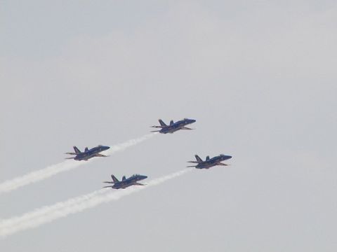 1998 Ford Taurus - Blue Angels. Pics speak for themselves. NOTE: Some pics where under exposed and had to be brightened, hence some are grainy.