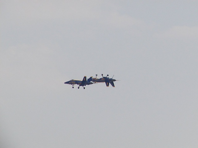 Two dark fighter jets in flight against a pale sky