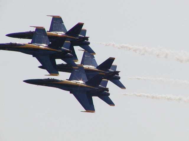 Almost a perfect pic!!!!  Darn it.  Wish they would fly slower.  :-)